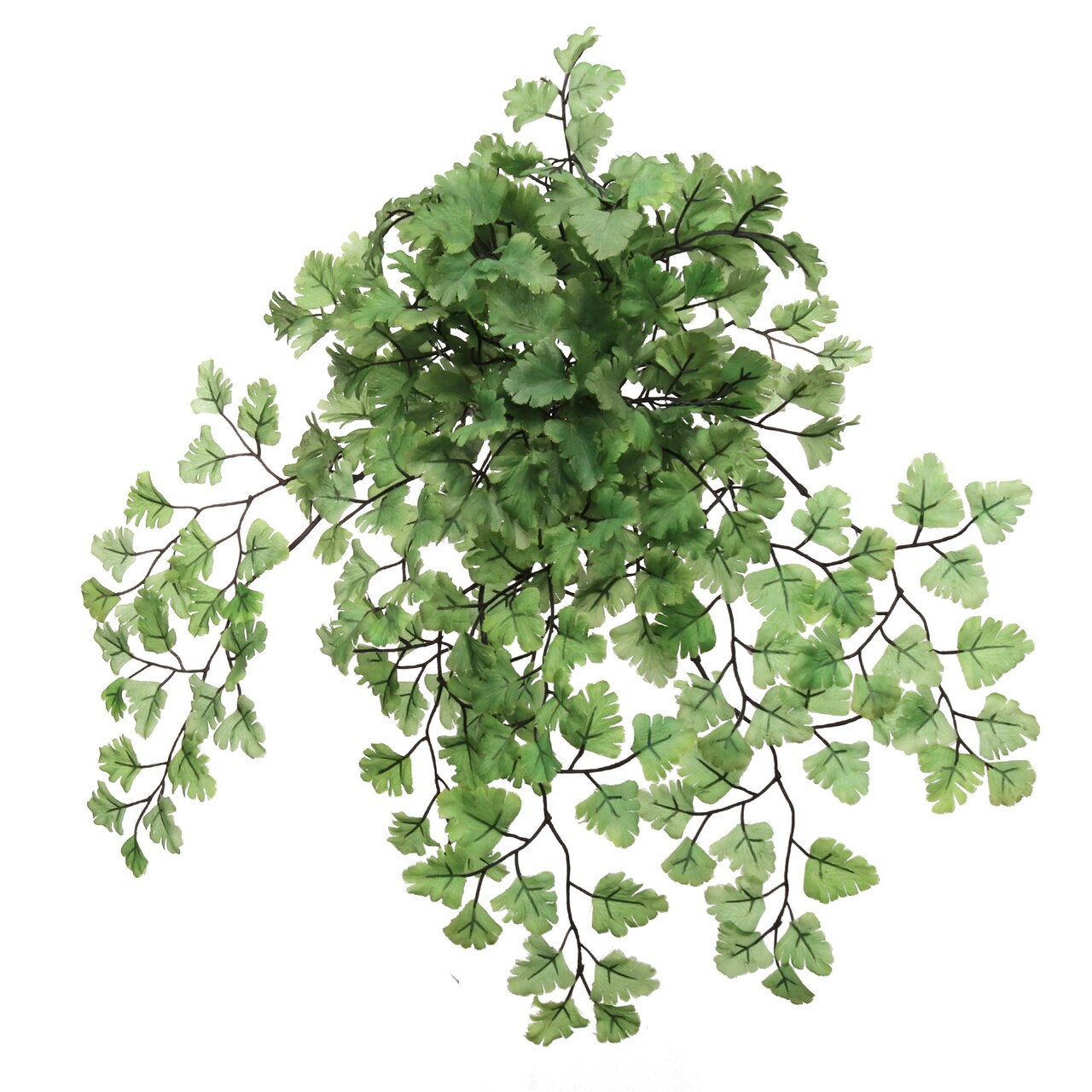 15" Artificial Maidenhair Ferns - Set of 12, Lush Greenery, Indoor/Outdoor Decor, Perfect for Homes, Offices, Events - Year-Round Decorative Accent, Floral Home by Artificial Flowers